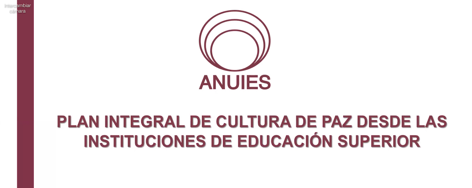 Galeria EducarPaz 5